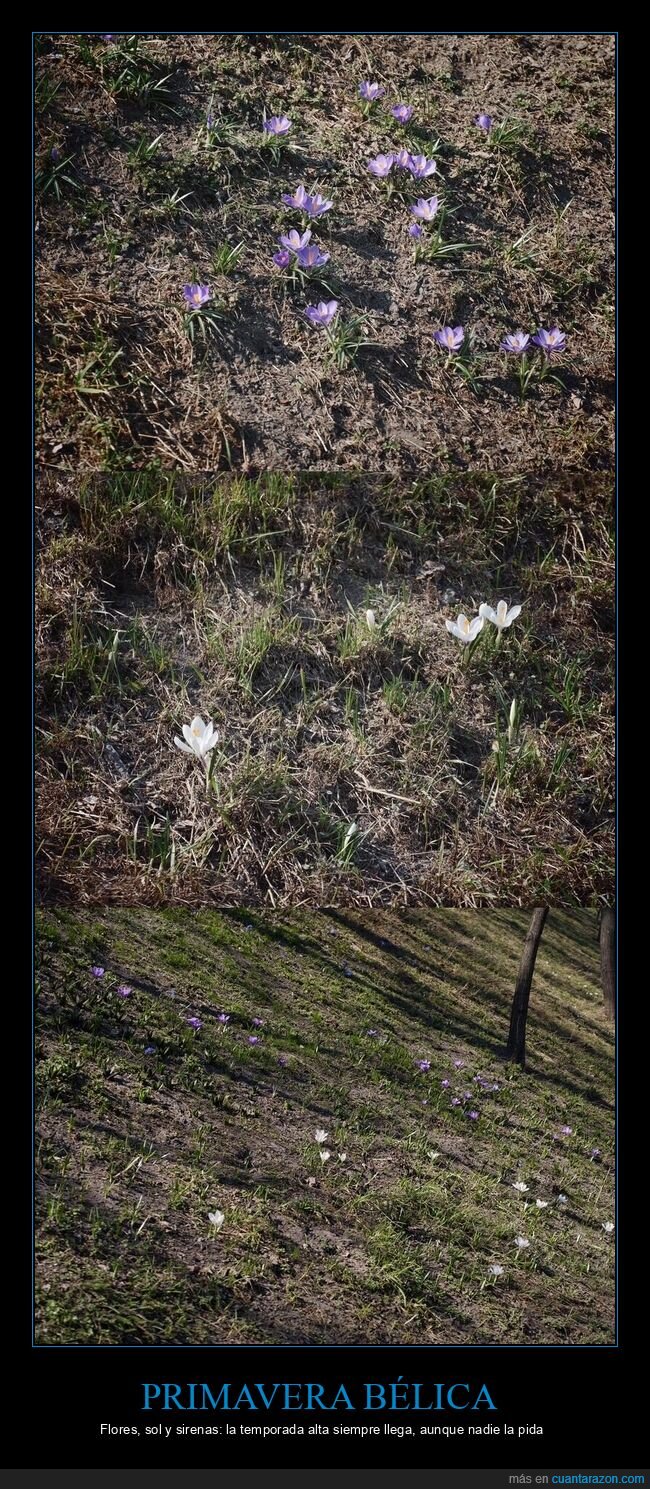 Kiev,primavera,guerra,sirenas,resiliencia
