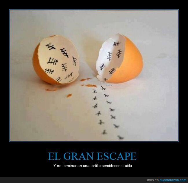 escape,huevo,recuento,fracaso,chapuza