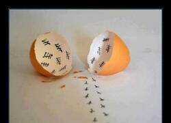 Enlace a The Great Escape por Shari Vincent