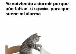 Enlace a Me da tiempo a otra siesta, ¿no?