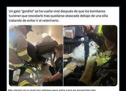 Enlace a Cuando prefieres un rescate de bomberos antes que una vacuna