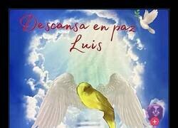 Enlace a Ni muerto me libro del Photoshop cutre