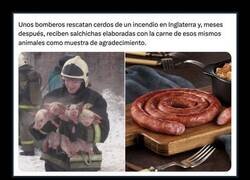 Enlace a Gratitud nivel charcutería