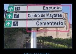 Enlace a La vida en tres carteles