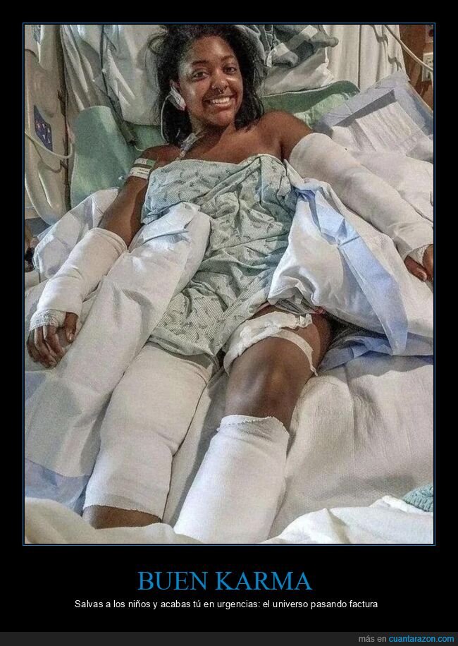 hospital,vendajes,rescate,perro,factura