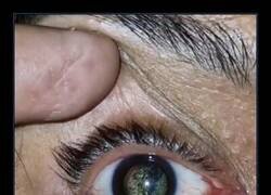 Enlace a No sé si me da miedo o me flipa