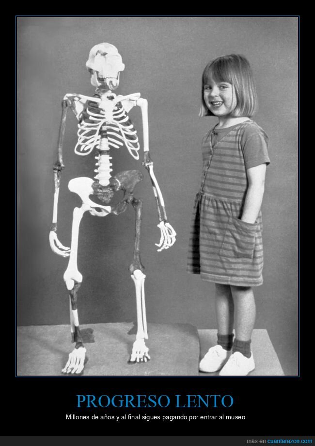 evolucion,antropologia,museo,esqueleto,prehistoria