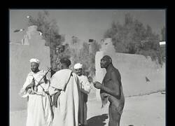 Enlace a La cara no parece que sea de alguien muy avispado