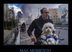 Enlace a Un hombre y su perro huyen de las bombas en Teherán (foto de Pooria Hatami)