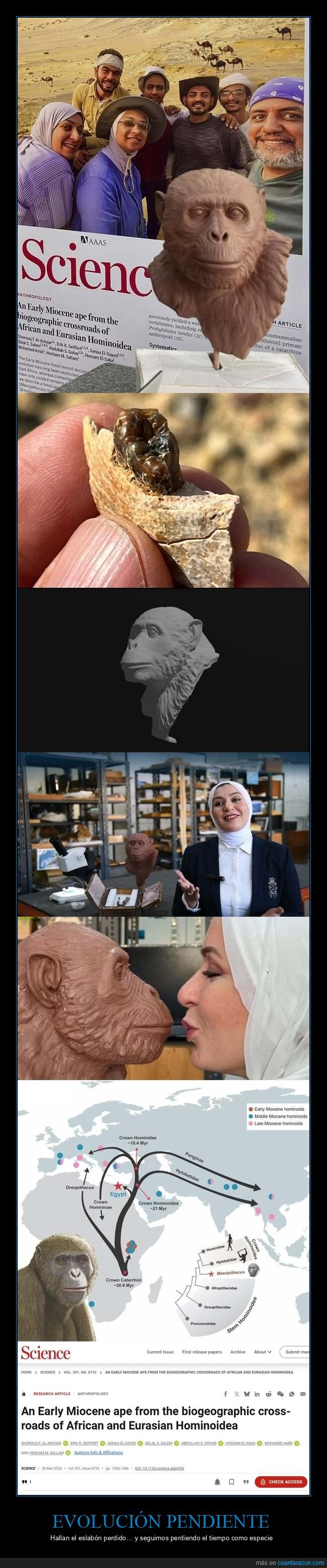 evolucion,primates,egipto,ciencia,descubrimiento