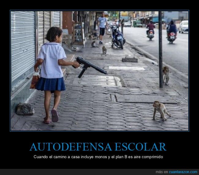 monos,Tailandia,airsoft,autodefensa,calle