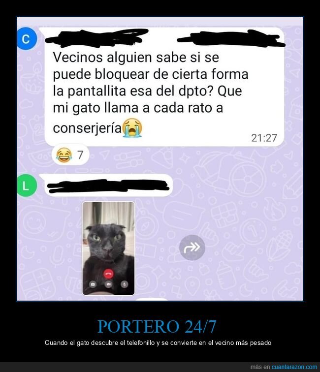 gato,telefonillo,vecinos,conserjer&iacute;a,llamadas