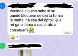 Enlace a El gato ya habla con conserjería