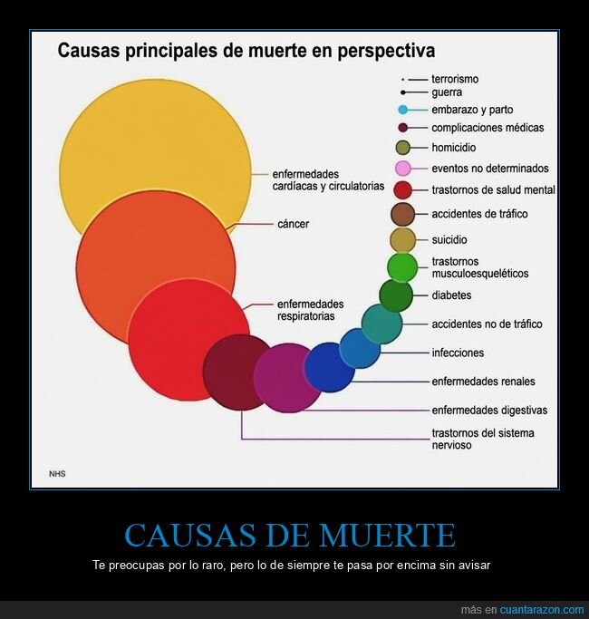 mortalidad,salud,estadisticas,riesgo,prevencion