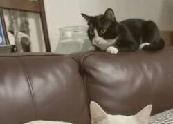 Enlace a Mamá, se te ha acabado la tinta