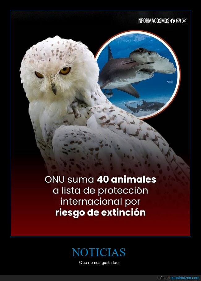 ONU,protecci&oacute;n,extinci&oacute;n,biodiversidad,conservaci&oacute;n