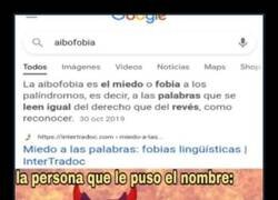 Enlace a El que lo nombró dijo: soy un genio