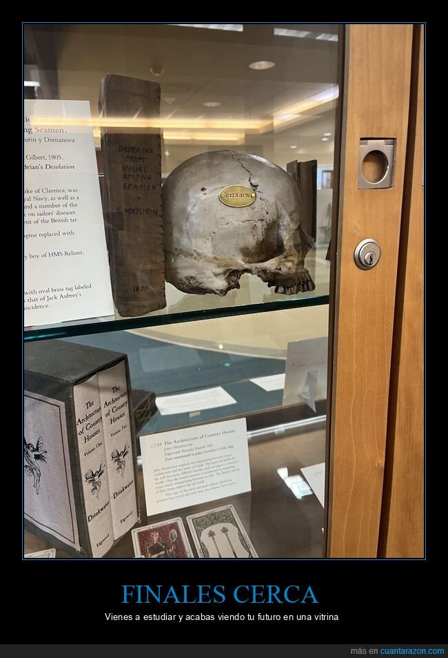 universidad,biblioteca,calavera,ex&aacute;menes,vitrina