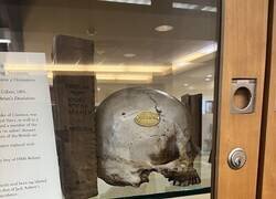 Enlace a Un cráneo en la biblioteca de mi universidad