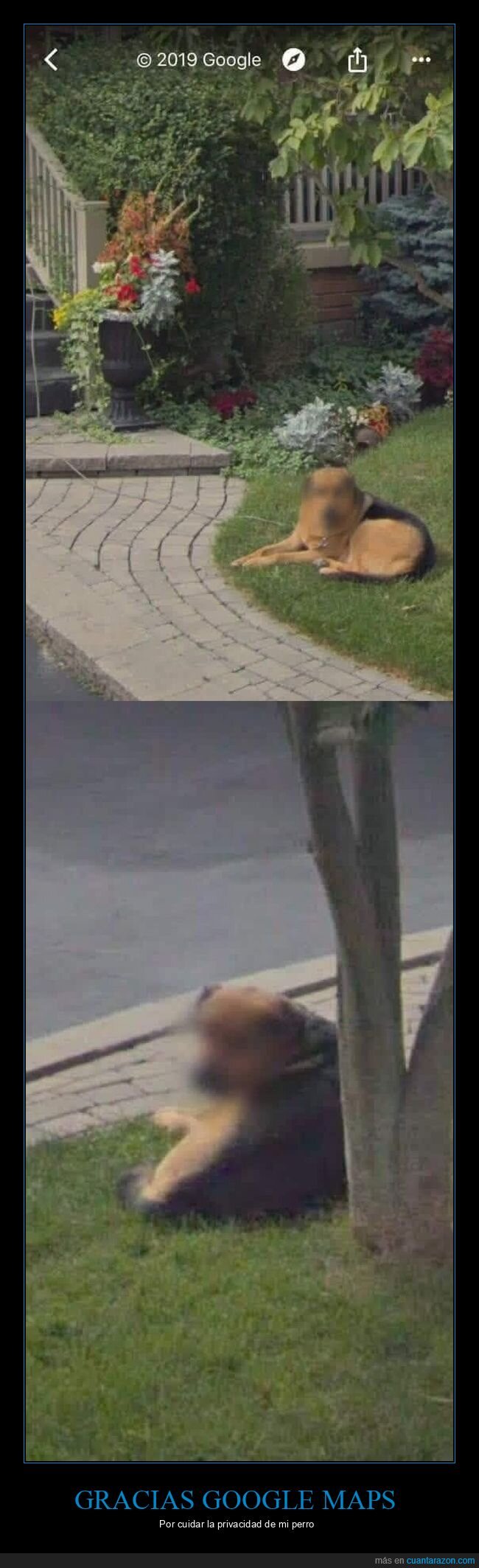 googlemaps,privacidad,perro,difuminado,streetview