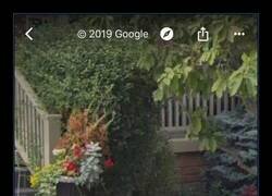 Enlace a Tranquilos, es un perro anónimo