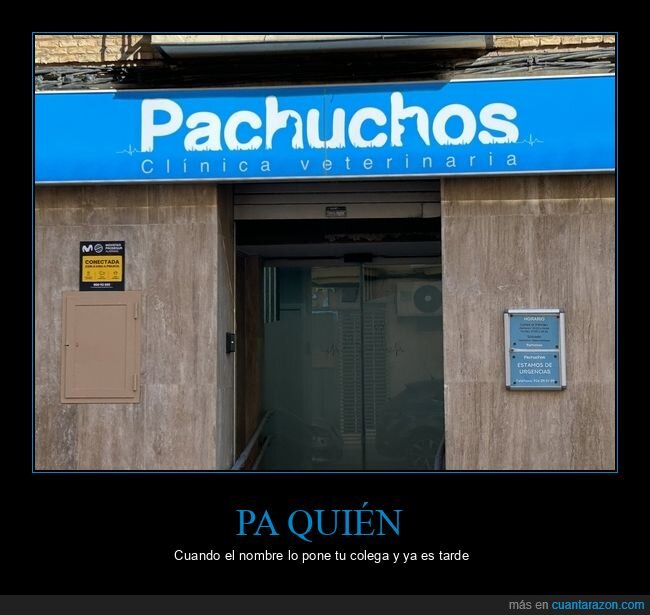 veterinaria,rotulo,nombres,duda,urgencias