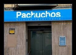 Enlace a Pa quién, Pachuchos