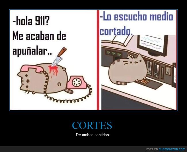 telefono,emergencias,cobertura,gato,llamada