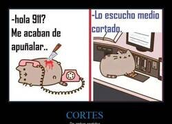 Enlace a Tranquilo, te oigo a trozos