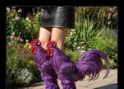 Enlace a Te cantan las botas