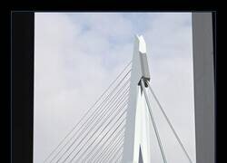 Enlace a  La magnitud del puente Erasmus de Róterdam en comparación con los seres humanos.