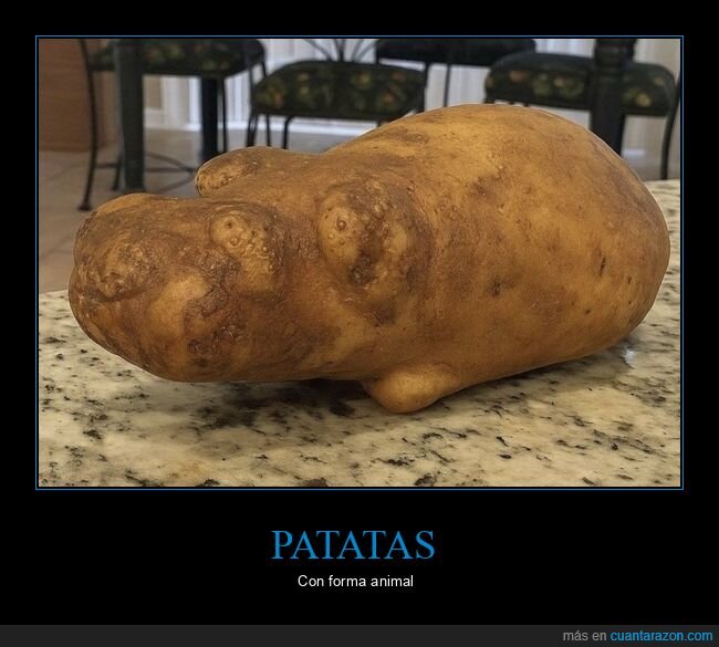 patata,pareidolia,mascota,debate,cocina