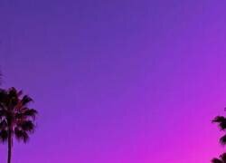 Enlace a Eso no es ciudad, es un filtro con palmeras