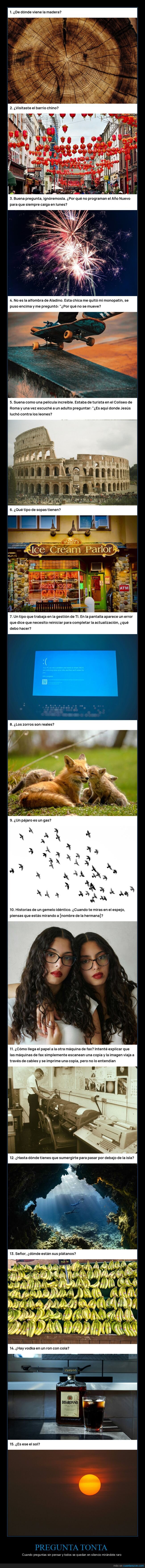 preguntas,absurdo,ignorancia,silencio,verg&uuml;enza