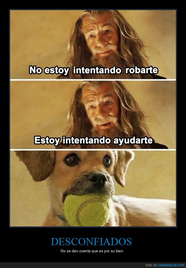 confianza,ayuda,desconfianza,perro,pelota