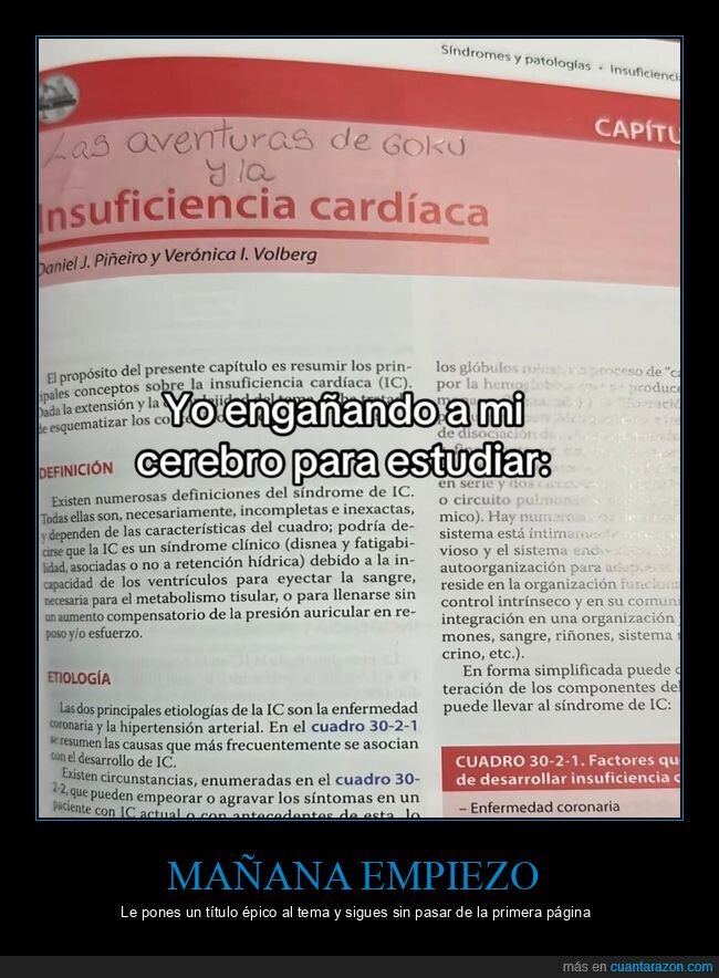 estudio,temario,medicina,procrastinaci&oacute;n,goku