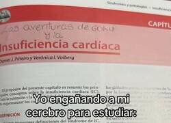 Enlace a Le puse lore al temario