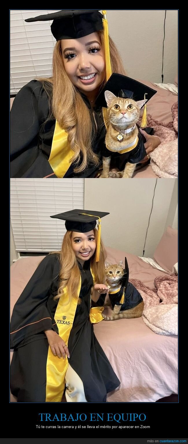 graduacion,gatito,clasesonline,zoom,due&ntilde;a