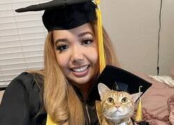 Enlace a Un gatito que asistió a todas las clases online, se gradúa junto a su dueña