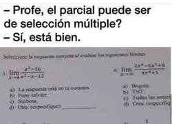 Enlace a Selección múltiple, mis narices