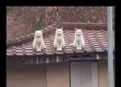 Enlace a La suma de tus ideas sigue dando cero