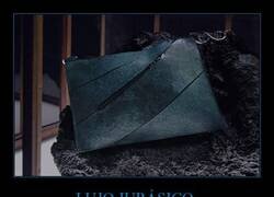 Enlace a Los científicos han creado el primer bolso del mundo hecho con cuero de dinosaurio, cultivando colágeno de Tiranosaurio Rex en un laboratorio.