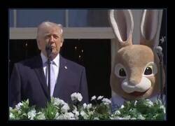Enlace a Una persona disfrazada de Conejo de Pascua escucha al Presidente de los Estados Unidos amenazar a Irán durante la celebración de Pascua en la Casa Blanca