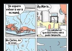 Enlace a La historia de Carlos y María en el Titanic