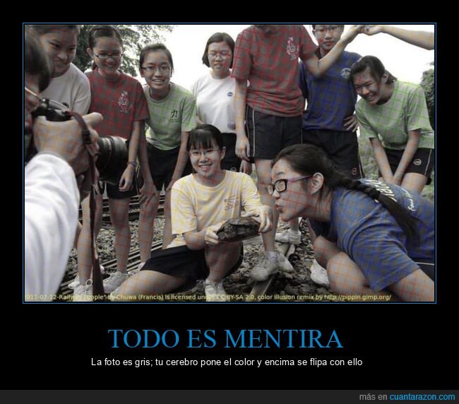 ilusion,cerebro,colores,fotografia,percepcion