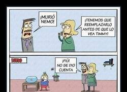 Enlace a Puedes cambiarlo todo, menos al que se fija