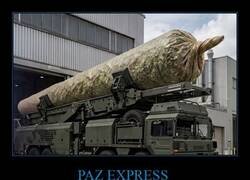 Enlace a La solución a la paz mundial