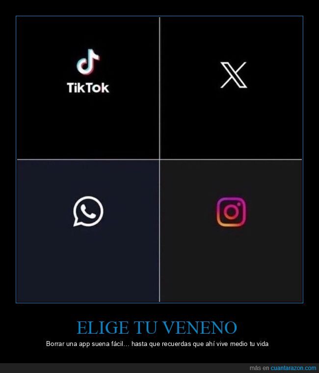 TikTok,Instagram,WhatsApp,X,elecci&oacute;n