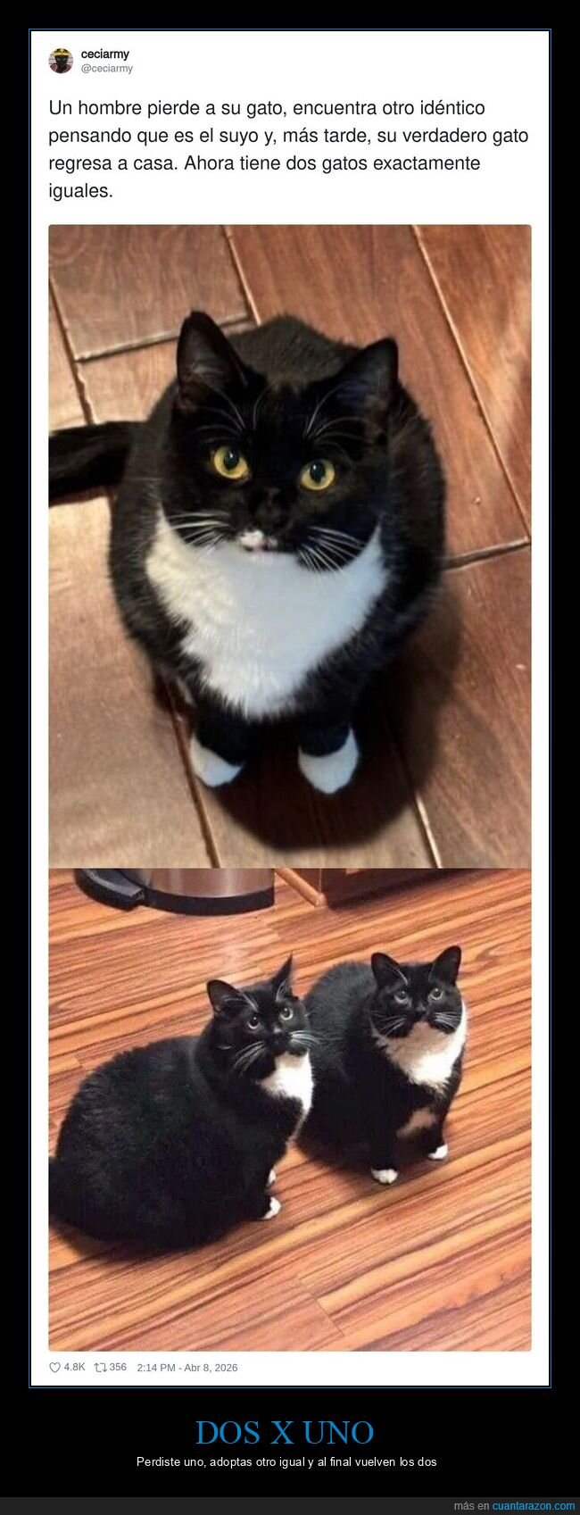 Mejor cartel de ayer