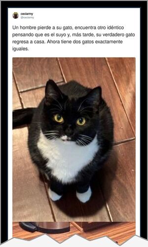 Mejor cartel de ayer